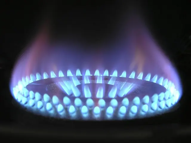 Top Energy-Efficient Kitchen Appliances Buying Guide